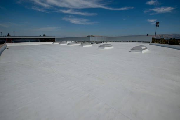 Best Storm Damage Roof Repair  in Greenvle, IL