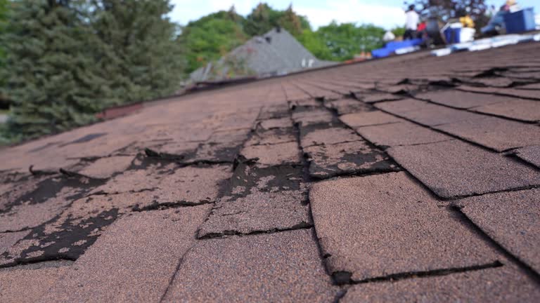 Best Flat Roofing  in Greenvle, IL