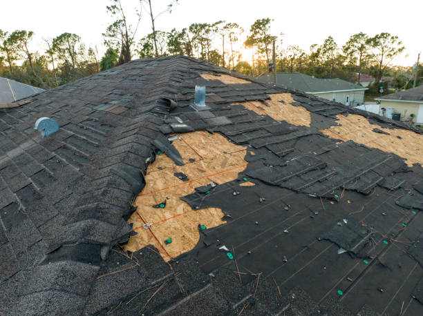 Best Roof Ventilation Installation  in Greenvle, IL